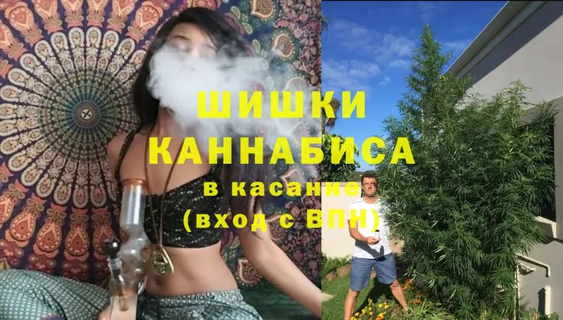 Бошки марихуана THC 21%  Гурьевск 